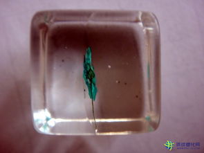 透明树脂工艺品