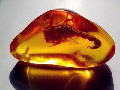 “它”是极其罕见又珍贵的!琥珀中的臻品,“虫珀”!